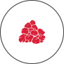Quantifying aggregate Coverage icon